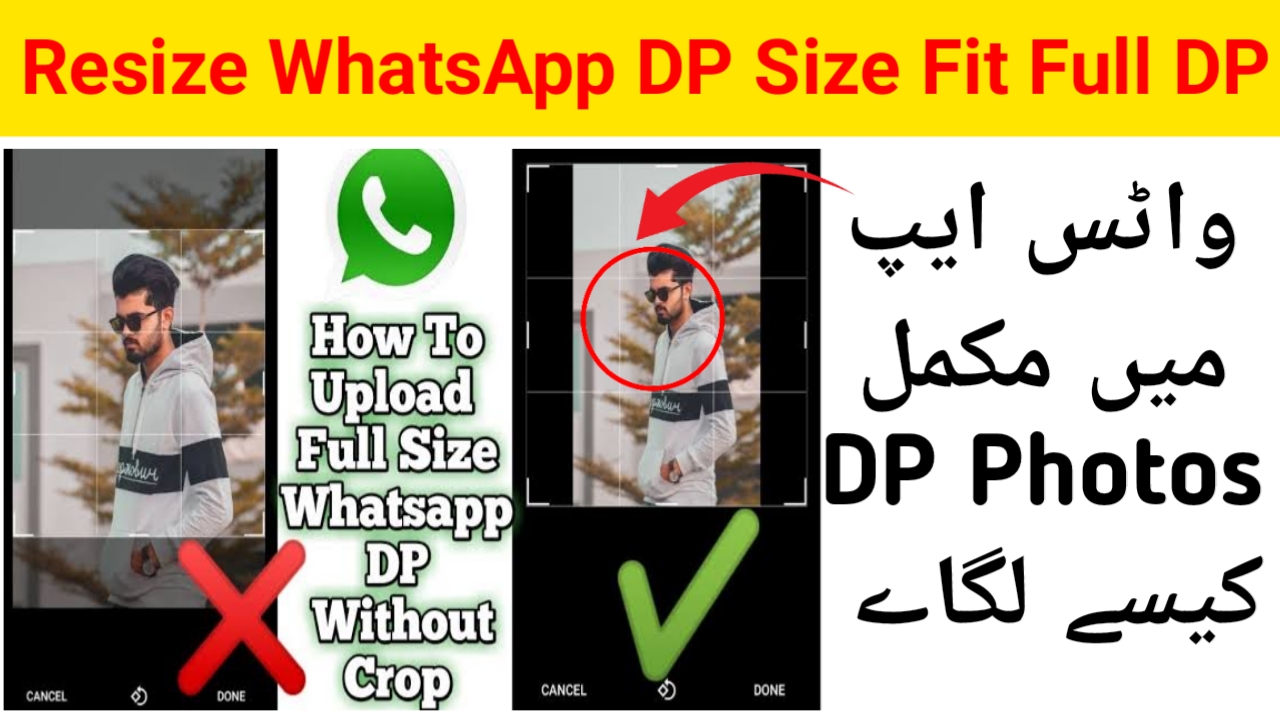 Resize image for WhatsApp DP